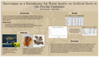 Macroalgae as a bioindicator for water quality on artificial reefs in the Florida Panhandle