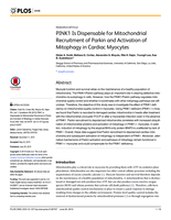 PINK1 is dispensable for mitochondrial recruitment of Parkin and activation of mitophagy in cardiac myocytes