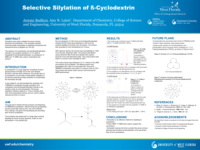 Selective Silylation of ÃŸ-Cyclodextrin