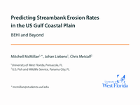 Predicting streambank erosion rates in the US Gulf coastal plain: BEHI and Beyond