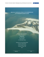 Impacts of Hurricane Katrina on the geomorphology of the Mississippi Barrier Islands: A research report submitted to National Park Service