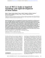 Effects of long-term resistance exercise training on autophagy in rat skeletal muscle of chloroquine-induced sporadic inclusion body myositis