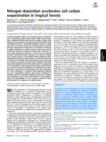 Nitrogen deposition accelerates soil carbon sequestration in tropical forests