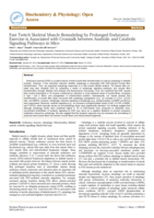 Fast twitch skeletal muscle remodeling by prolonged endurance exercise is associated with crosstalk between anabolic and catabolic signaling pathways in mice