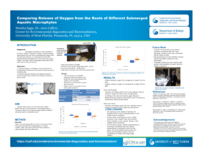 Comparing release of oxygen from the roots of different submerged aquatic macrophytes