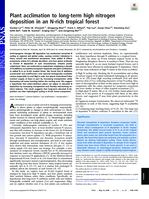 Plant acclimation to long-term high nitrogen deposition in an N-rich tropical forest