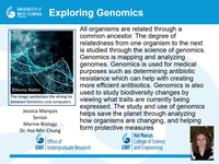 Exploring genomics