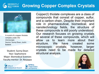 Growing Copper Complex Crystals