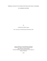 Thermal Ecology of Juvenile New England Chain Catsharks, Scyliorhinus Retifer