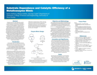 Substrate dependence and a catalytic efficiency of a metalloenzyme mimic