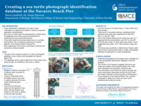Creating a sea turtle photograph identification database at the Navarre Beach Pier