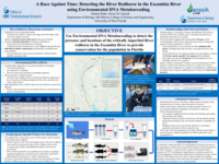 A race against time: Detecting the River Redhorse in the Escambia River using environmental DNA metabarcoding