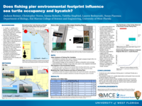 Does fishing pier environmental footprint influence sea turtle occupancy and bycatch?