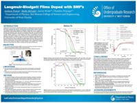 Langmuir-Blodgett films doped with SMF