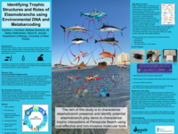 Identifying trophic structures and roles of elasmobranchs using environmental DNA and metabarcoding