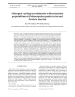 Nitrogen cycling in sediments with estuarine populations of Potamogeton perfoliatus and Zostera marina