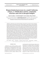 Biogeochemical processes in a small California estuary: 2. Nitrification activity, community structure and role in nitrogen budgets