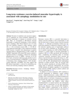 Long-term resistance exercise-induced muscular hypertrophy is associated with autophagy modulation in rats