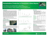 Phytoplankton production in Pensacola's urban bayous