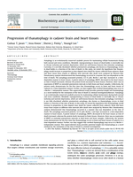Progression of thanatophagy in cadaver brain and heart tissues