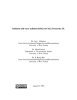 Sediment and water pollution in Bayou Chico, Pensacola, FL.