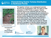 Characterizing gopher tortoise distribution in northwest Florida