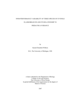 Swim Performance Variability of Three Species of Juvenile Elasmobranchs and Its Relationship to Predator Avoidance