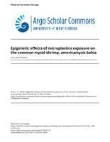 Epigenetic Effects of Microplastics Exposure on the Common Mysid Shrimp, Americamysis Bahia