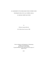 AN ASSESSMENT OF WATERLOGGED WOOD CONSERVATION TECHNIQUES FOR LITTLE SALT SPRING (8SO18)