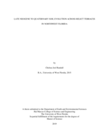 Late Neogene to quaternary soil evolution across relict terraces in Northwest Florida