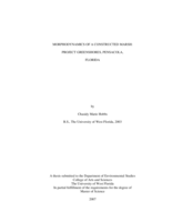 MORPHODYNAMICS OF A CONSTRUCTED MARSH