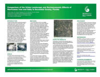 Comparison of the urban landscape and socioeconomic effects of Hurricanes Ivan and Sally in Escambia County, Florida
