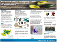 Your avocado toast is funding drug cartels: how Mexican cartels became involved in the avocado industry