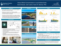 Heavy metal concentration in local watersheds