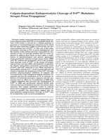 Calpain-dependent endoproteolytic cleavage of PrPSc modulates scrapie prion propagation
