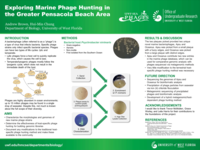 Exploring marine phage hunting in the Pensacola Beach area