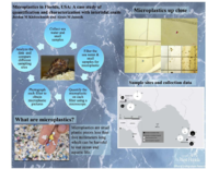 Microplastics in Florida: a case study of quantification and characterization with intertidal snails
