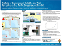 Analysis of environmental variables and their correlation to sea turtle occupancy and bycatch
