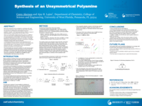 Synthesis of an unsymmetrical polyamine