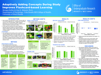 Adaptively adding concepts during study improves flashcard-based learning