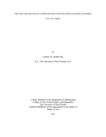 THE LIFE AND DEATH OF A NINETEENTH-CENTURY SINGLE-SCREW STEAMER, CITY OF TAMPA