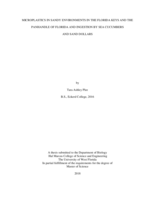 Microplastics in sandy environments in the Florida Keys and the Panhandle of Florida and ingestion by sea cucumbers and sand dollars