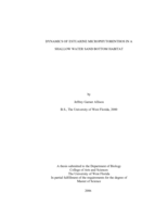 DYNAMICS OF ESTUARINE MICROPHYTOBENTHOS IN A SHALLOW WATER SAND BOTTOM HABITAT