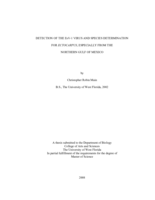 DETECTION OF THE ESV-1 VIRUS AND SPECIES DETERMINATION FOR ECTOCARPUS, ESPECIALLY FROM THE NORTHERN GULF OF MEXICO
