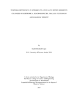 TEMPORAL DIFFERENCES IN NITROGEN FIXATION RATES WITHIN SEDIMENTS COLONIZED BY SUBTROPICAL SEAGRASS SPECIES, THALASSIA TESTUDINUM AND HALODULE WRIGHTII