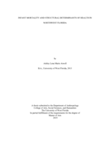 Infant mortality and structural determinants of health in Northwest Florida