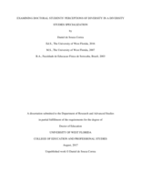 Examining Doctoral Students' Perceptions of Diversity in a Diversity Studies Specialization