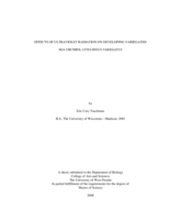 EFFECTS OF ULTRAVIOLET RADIATION ON DEVELOPING VARIEGATED SEA URCHINS, LYTECHINUS VARIEGATUS