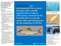A race against time: using environmental DNA to detect specimens of the Rive Redhorse in the Escambia River