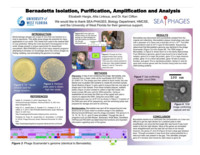 The collection, amplification, and genome sequencing of bacteriophage Bernadetta